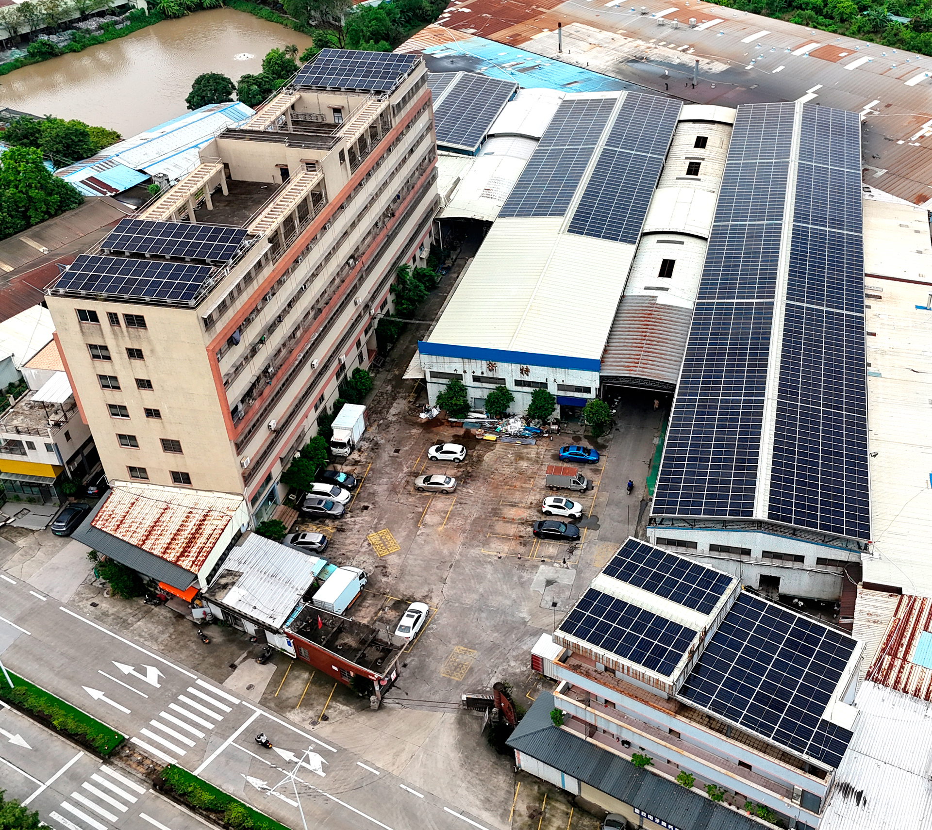 DJI_20250820081804_0204_D.JPG
